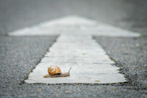 snail on the road with straight arrow
